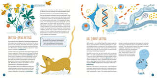 Клетки: из чего сделано всё живое 4