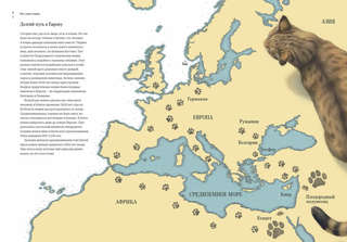 Как кошка приручила человека: История кошек и людей 2