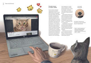 Как кошка приручила человека: История кошек и людей 3