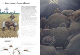 Как кошка приручила человека: История кошек и людей 4