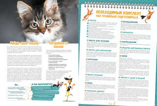 Кошки в комиксах 8