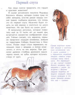 Кони: Дикие, благородные, знаменитые 3