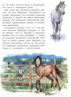 Кони: Дикие, благородные, знаменитые 4