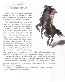 Кони: Дикие, благородные, знаменитые 5