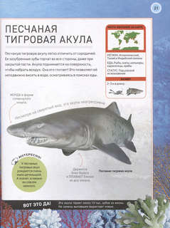Подводный мир: Полная энциклопедия 4