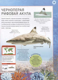 Подводный мир: Полная энциклопедия 5