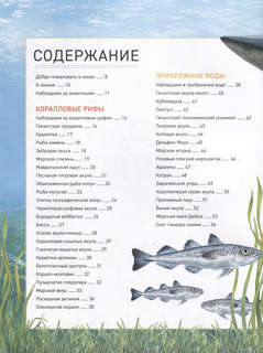 Подводный мир: Полная энциклопедия 6