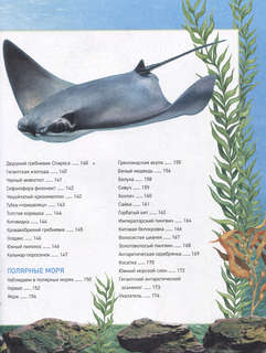 Подводный мир: Полная энциклопедия 9