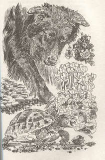 Моя семья и другие звери 5