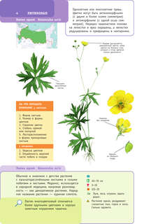 Растения России 4