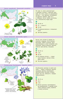 Растения России 5