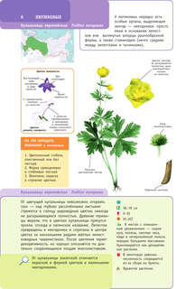 Растения России 6