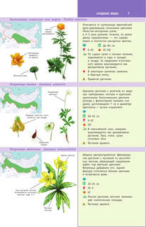 Растения России 7