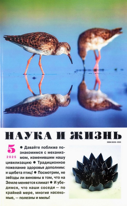 Журнал Наука и жизнь №5 (май 2025)