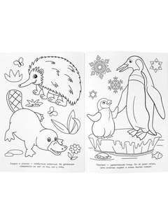 Раскраска 100 животных 5