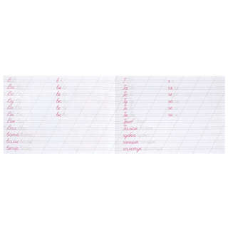 Каллиграфическая пропись Пишем слоги и слова 2