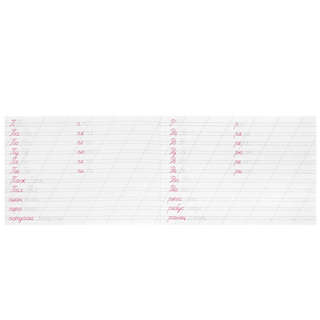 Каллиграфическая пропись Пишем слоги и слова 4