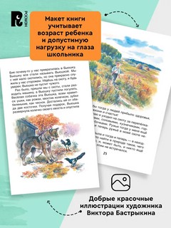 Кладовая солнца: Рассказы, Внеклассное чтение 2