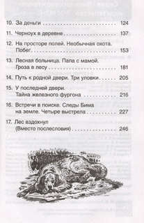 Белый Бим Черное ухо, Внеклассное чтение 4