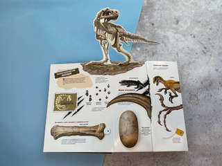 Динозавры: 3D книга-театр 3