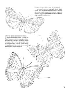 Бабочки и другие насекомые: Атлас-раскраска 11
