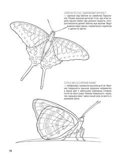 Бабочки и другие насекомые: Атлас-раскраска 12