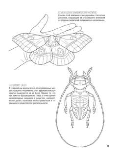 Бабочки и другие насекомые: Атлас-раскраска 13