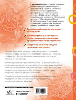 Бабочки и другие насекомые: Атлас-раскраска 2