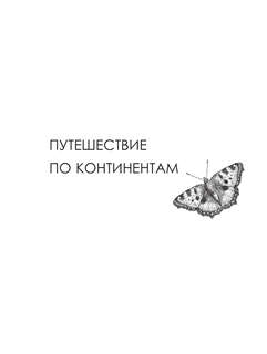 Бабочки и другие насекомые: Атлас-раскраска 5