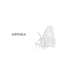 Бабочки и другие насекомые: Атлас-раскраска 7