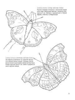 Бабочки и другие насекомые: Атлас-раскраска 9