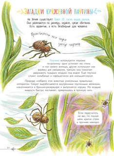 Чудеса природы: 50 историй в картинках для детей 12