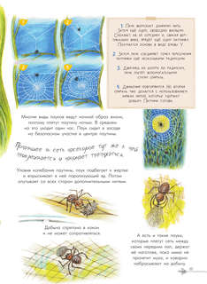 Чудеса природы: 50 историй в картинках для детей 13