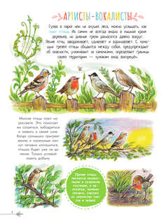Чудеса природы: 50 историй в картинках для детей 6