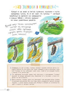 Чудеса природы: 50 историй в картинках для детей 8