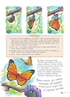Чудеса природы: 50 историй в картинках для детей 9