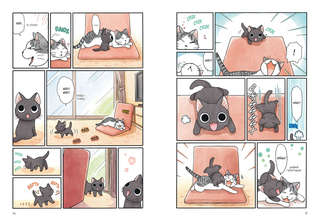 Сью и Тайчик, Книга 1 2