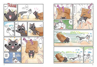 Сью и Тайчик, Книга 1 4