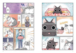 Сью и Тайчик, Книга 1 7