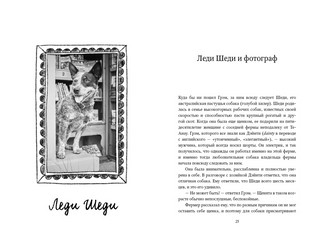 Собаки книжного магазина на краю света 5