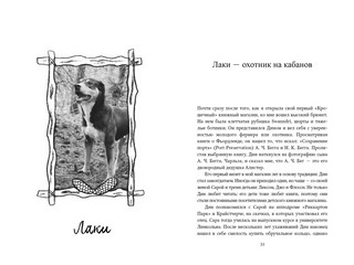 Собаки книжного магазина на краю света 6