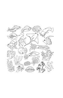 Бескрайний океан, Раскраска антистресс 9