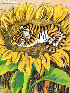 Лягушка-путешественница и другие сказки 4