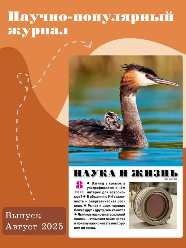 Журнал Наука и жизнь №8 (август 2025)