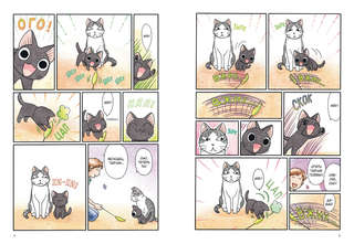 Сью и Тайчик: Книга 2 2