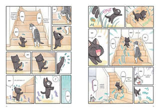 Сью и Тайчик: Книга 3 2