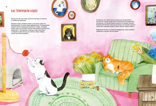 Невероятные коты: Всё, что нужно знать о любимых питомцах 2