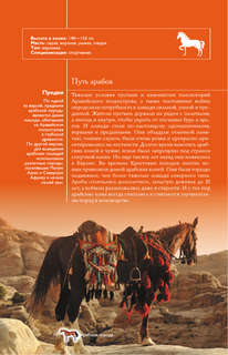 Лошади: Иллюстрированный гид 10