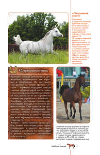 Лошади: Иллюстрированный гид 11