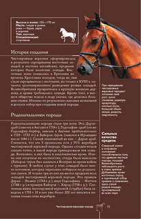 Лошади: Иллюстрированный гид 13